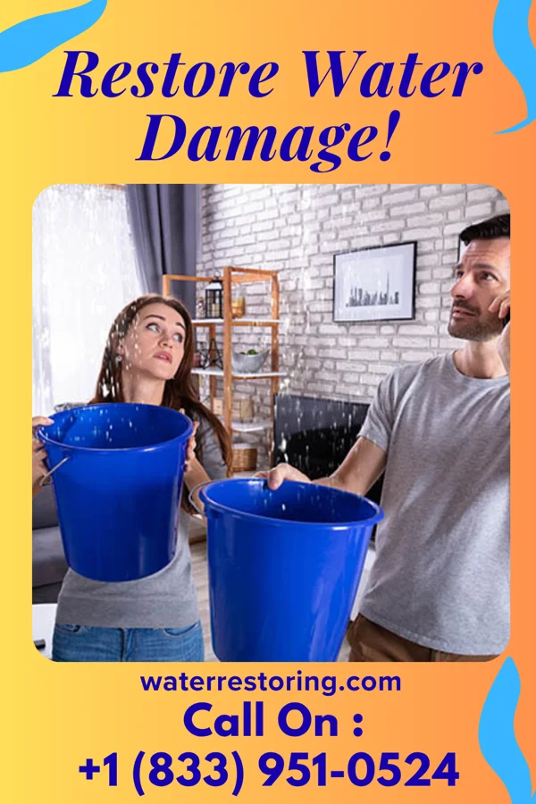 water restoration Ultimate Drying Frenchtown-Rumbly