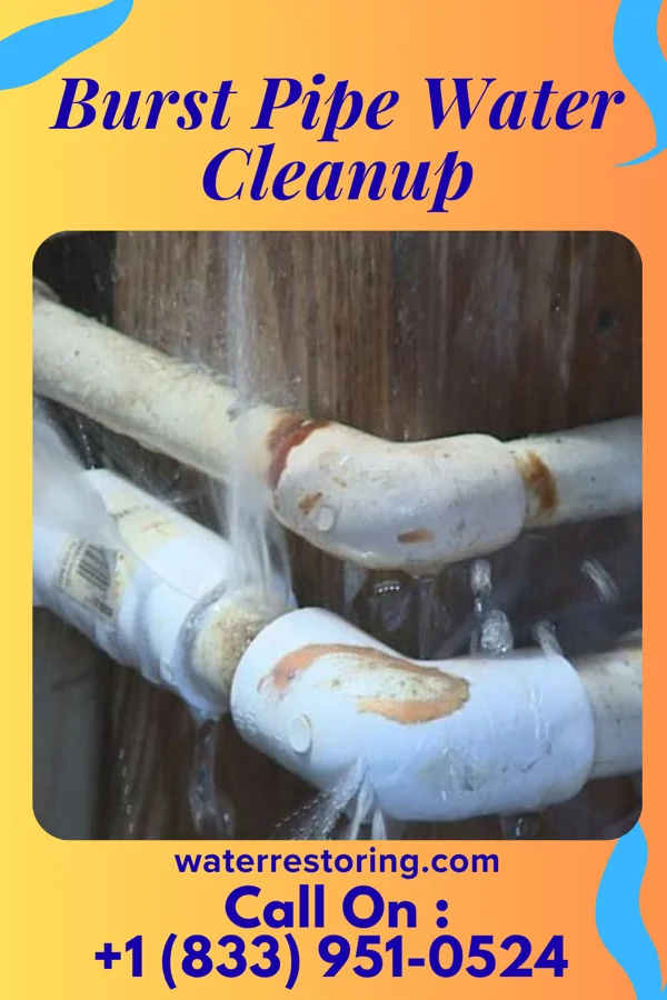 Burst Pipe Water Cleanup in Frenchtown-Rumbly, MD
