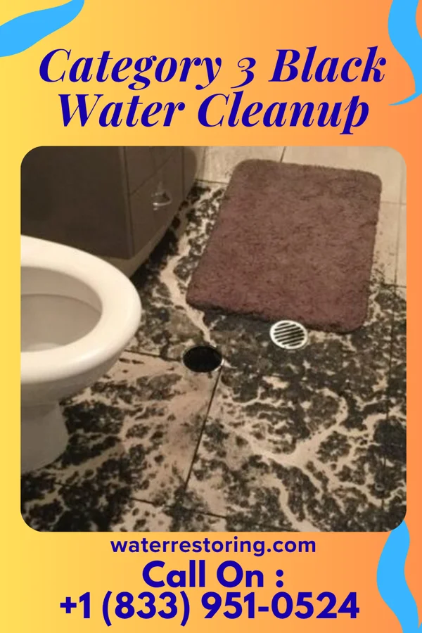 Category 3 Black Water Cleanup in Frenchtown-Rumbly, MD