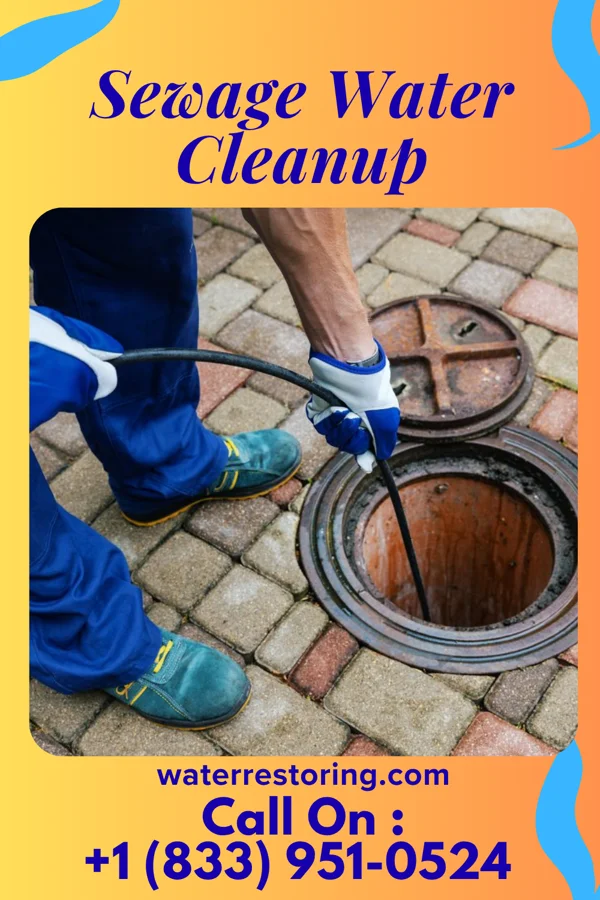 Sewage Water Cleanup in Frenchtown-Rumbly, MD