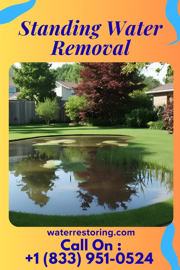 Standing Water Removal in Frenchtown-Rumbly, MD